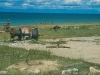 207.jpg