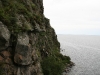 img_2266.jpg