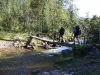 img_2447.jpg