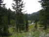 img_2525.jpg