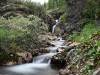 img_2541.jpg