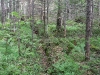 img_2648.jpg