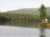 img_2652.jpg