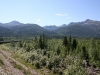 img_5335.jpg