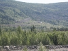 img_5349.jpg