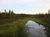 img_6578.jpg