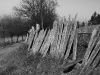 img_5825