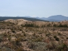 img_6405_0.jpg