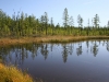 img_6446.jpg