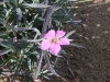 img_6453_0.jpg