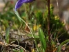img_8701