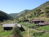 img_2791.jpg
