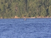 img_2845.jpg