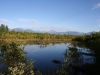 img_6373.jpg