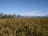 img_6376.jpg