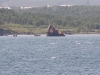 img_6876.jpg