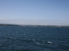 img_6882.jpg