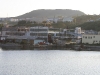 img_6896.jpg