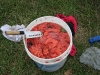 img_7056.jpg