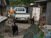 img_7279.jpg