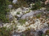 img_6087.jpg