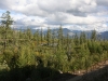 img_6163.jpg