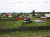 img_2572.jpg